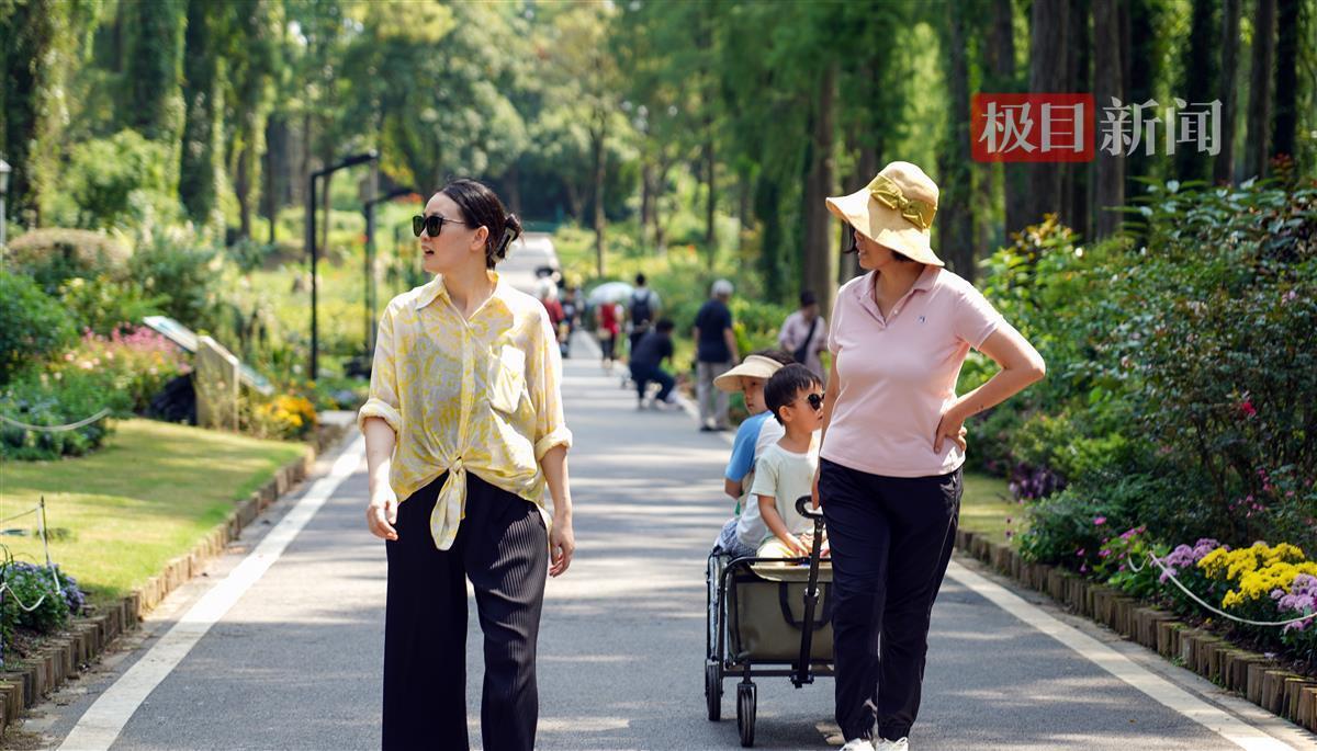 快速赢现金游戏